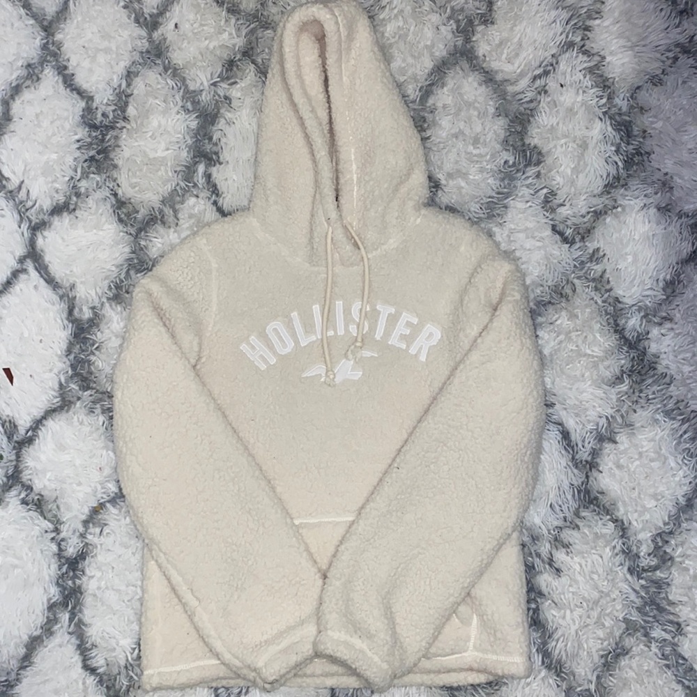 hollister sweater